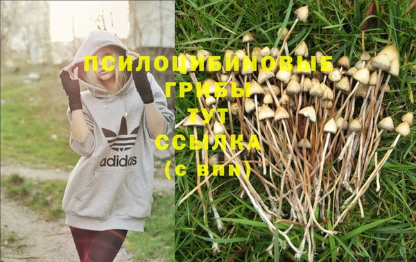 MDMA Premium VHQ Лиски